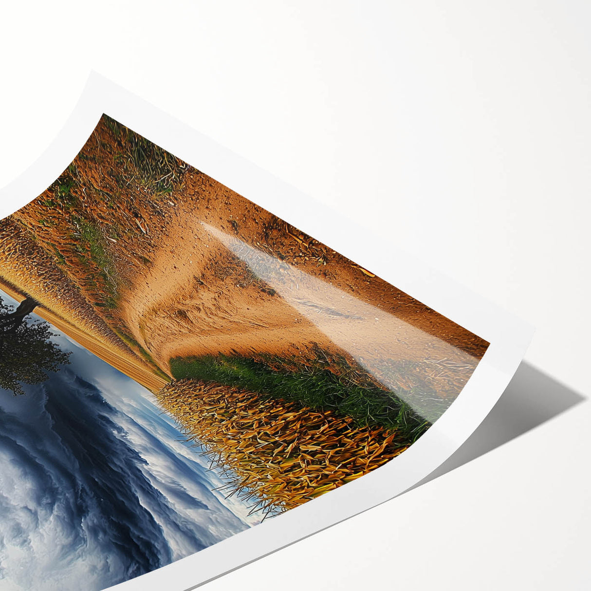 Vibrant rolled print showcasing a serene landscape of golden fields under a blue sky, beautifully packaged in a protective cardboard tube for art enthusiasts.