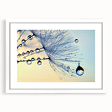 Abstract art print featuring close-up water details in muted blue tones, framed in white.