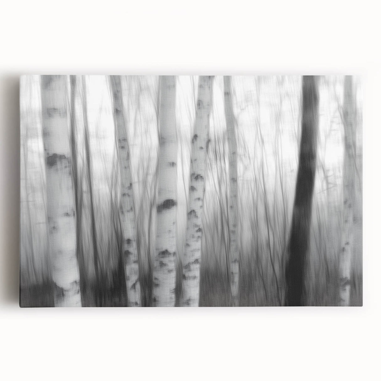 Birch Forest Blur – Dynamic Black and White Abstract Motion Wall Art