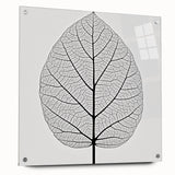 Close-up of green leaves on acrylic glass, ideal for bedroom or dining room wall art.