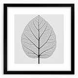 Extra large abstract art print featuring close-up textured colorful leaves, in a black frame, ideal for living room decor.