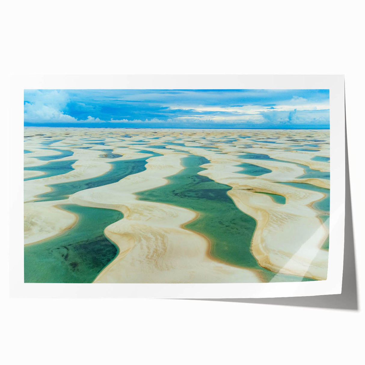 Extra large rolled canvas print depicting vibrant floral scenery, ideal for art wall dining room or classy bathroom decor.