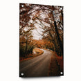 Large abstract wall art depicting fall season in muted orange and brown tones on acrylic glass.
