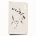 Winter-themed large abstract wall art on acrylic glass, featuring cool blue and white tones.