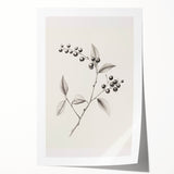 Extra large rolled print featuring a winter-themed floral design in cool blue and white tones.