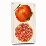Acrylic glass wall art featuring an array of fruits in vibrant colors, ideal for dining room decor.