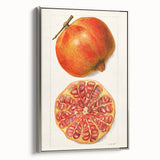 Landscape art painting of colorful fruits on a black background, framed in silver, ideal for kitchen decor.