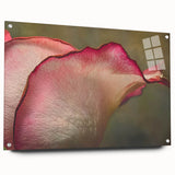 Close-up of a floral acrylic print in vibrant colors, ideal for bedroom or dining room decor.