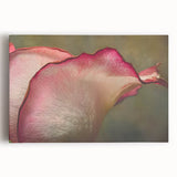 Black and white close-up floral photograph on stretched canvas, suited for kitchen wall art.