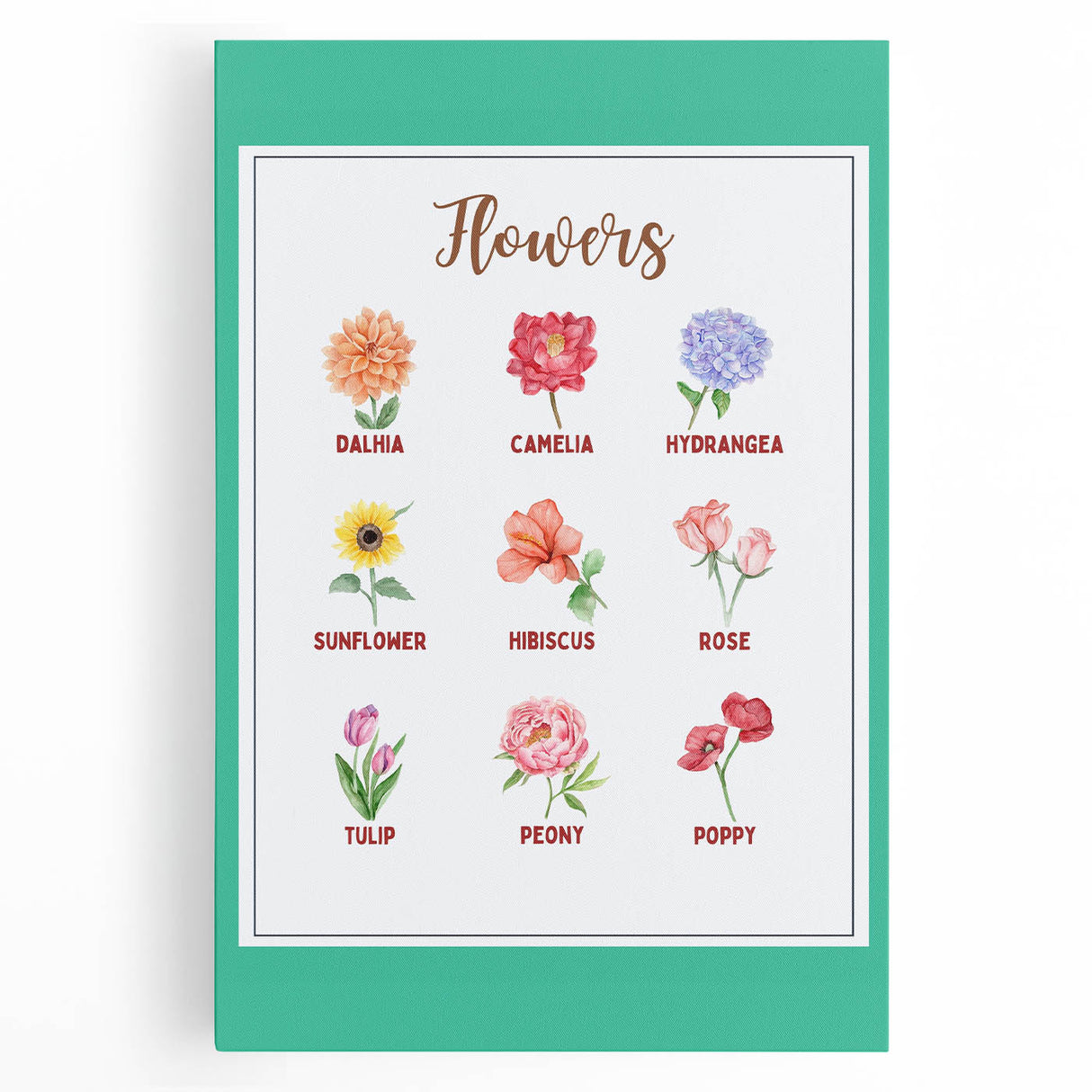 Flowers Chart - Kids Educational Wall Art Botanical Learning Print