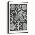 Modern Wall Art - Intricate Black-and-White Botanical Lichen Design