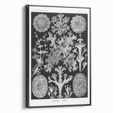 Modern Wall Art - Intricate Black-and-White Botanical Lichen Design