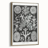 Modern Wall Art - Intricate Black-and-White Botanical Lichen Design