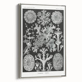 Modern Wall Art - Intricate Black-and-White Botanical Lichen Design