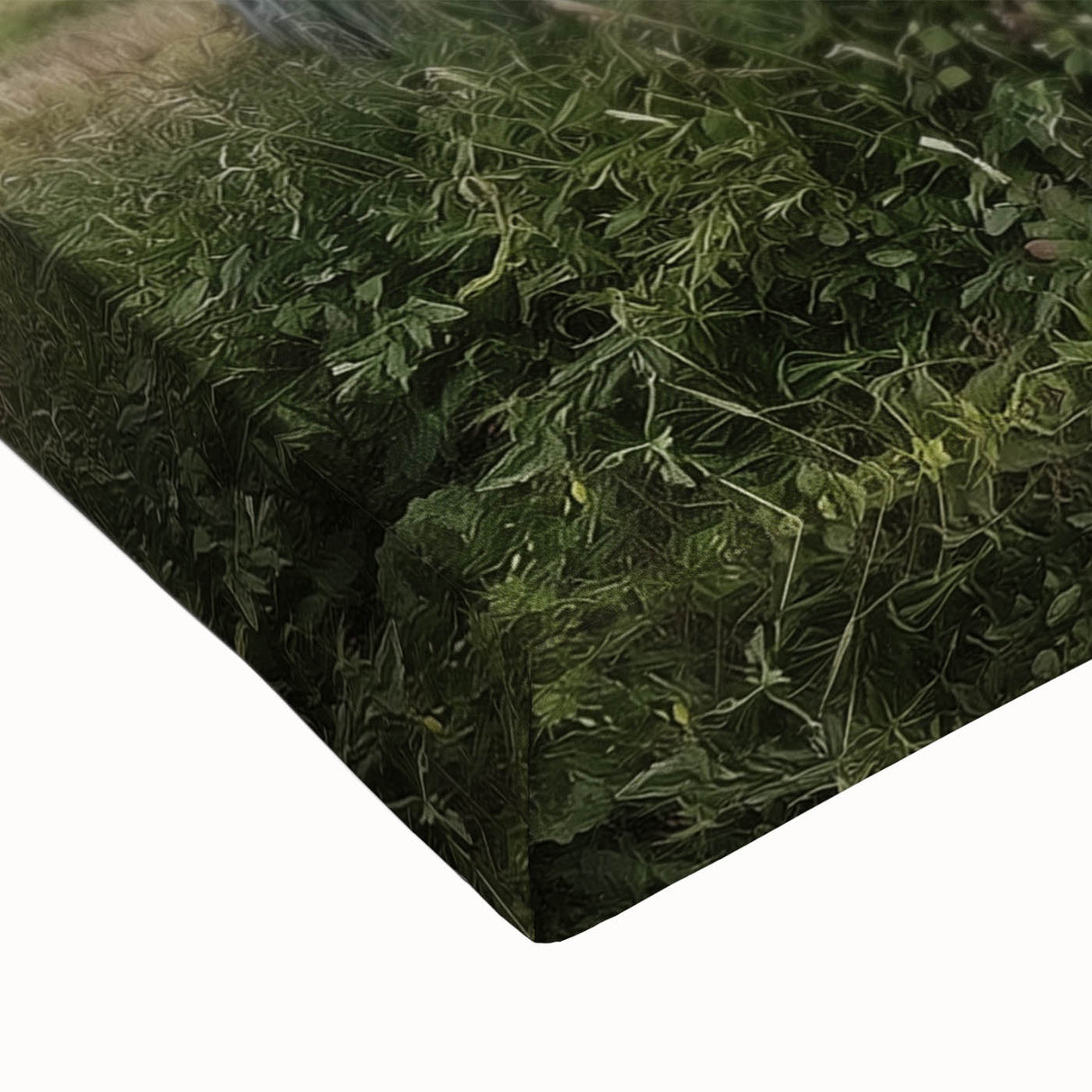 Close-up of a stretched canvas featuring a vibrant barn landscape design, showcasing rich colors and intricate details, perfect for home decor enthusiasts.