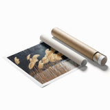 Extra large rolled print featuring close-up floral art in soft pastel shades, ideal for classy bathroom wall art.