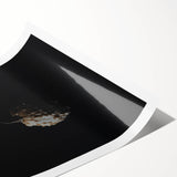 Extra large wall art featuring line art flowers in muted autumnal tones on a rolled print.