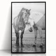 Framed acrylic wall art featuring a vibrant design of 50 illustrated animals, presented in a sleek black frame, ideal for modern home decor and wildlife enthusiasts.
