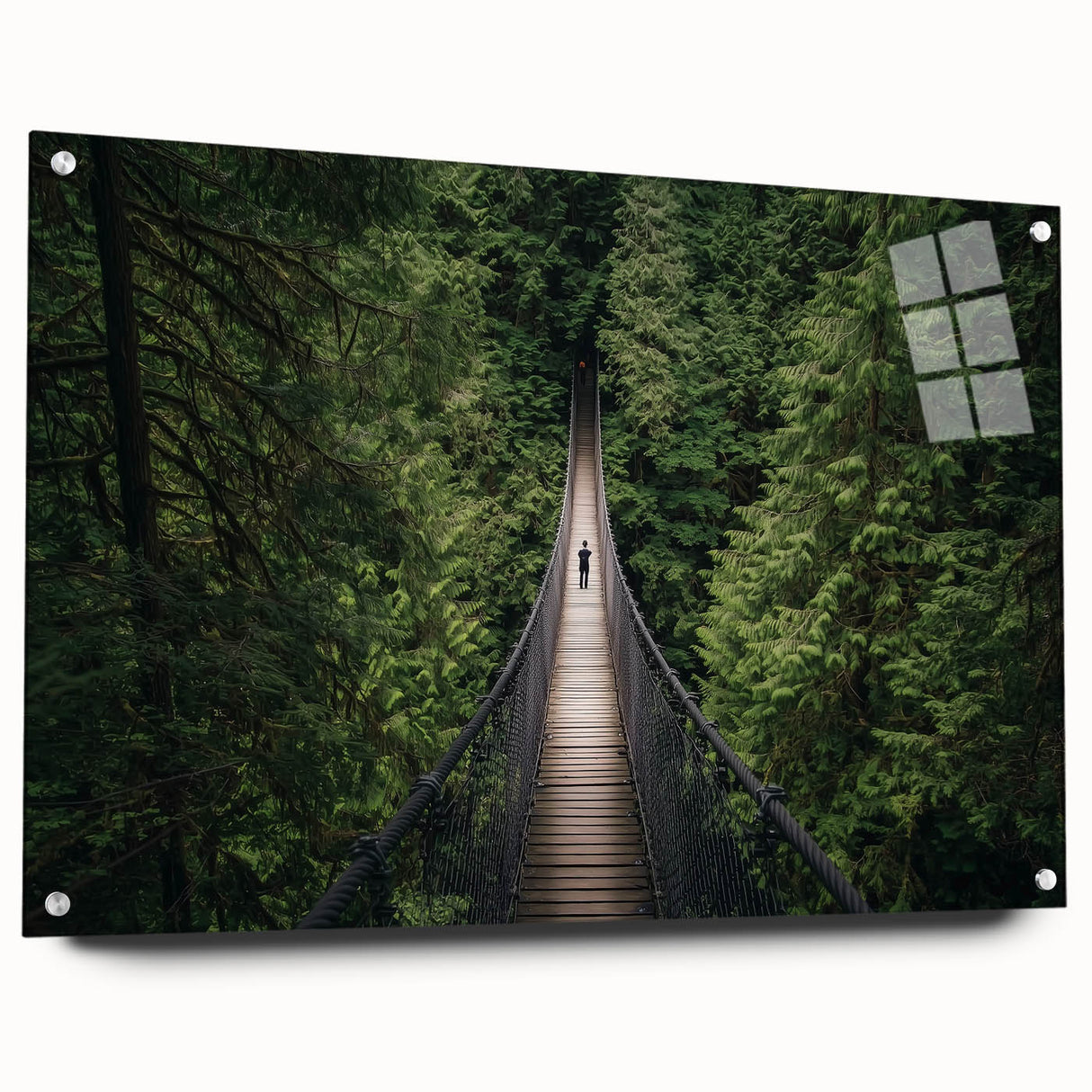 Acrylic glass side view of a modern landscape bridge design, showcasing intricate details and pin connections, ideal for architectural inspiration and decor.