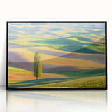 Framed acrylic artwork showcasing a vibrant landscape of rolling fields under a blue sky, with a sleek black frame, perfect for modern home decor.