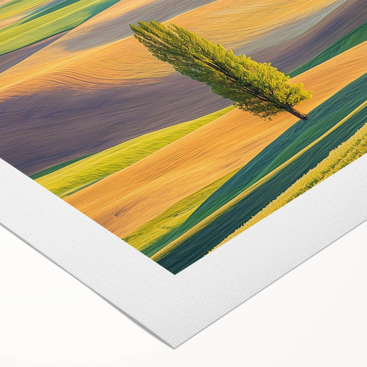 Vibrant rolled canvas showcasing a serene landscape design with rolling fields and a blue sky, elegantly packaged in a protective cardboard tube for easy transport.