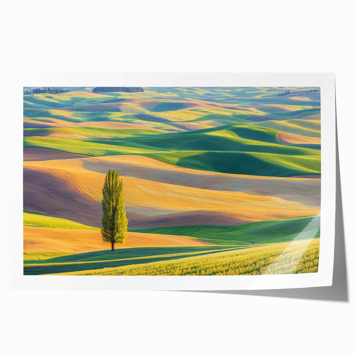 Rolled print showcasing a vibrant landscape scene with lush green fields and a blue sky, elegantly packaged in a protective cardboard tube for safe shipping.
