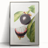 Mid-century modernist art featuring an array of fruits in muted colors, acrylic print in a silver frame.