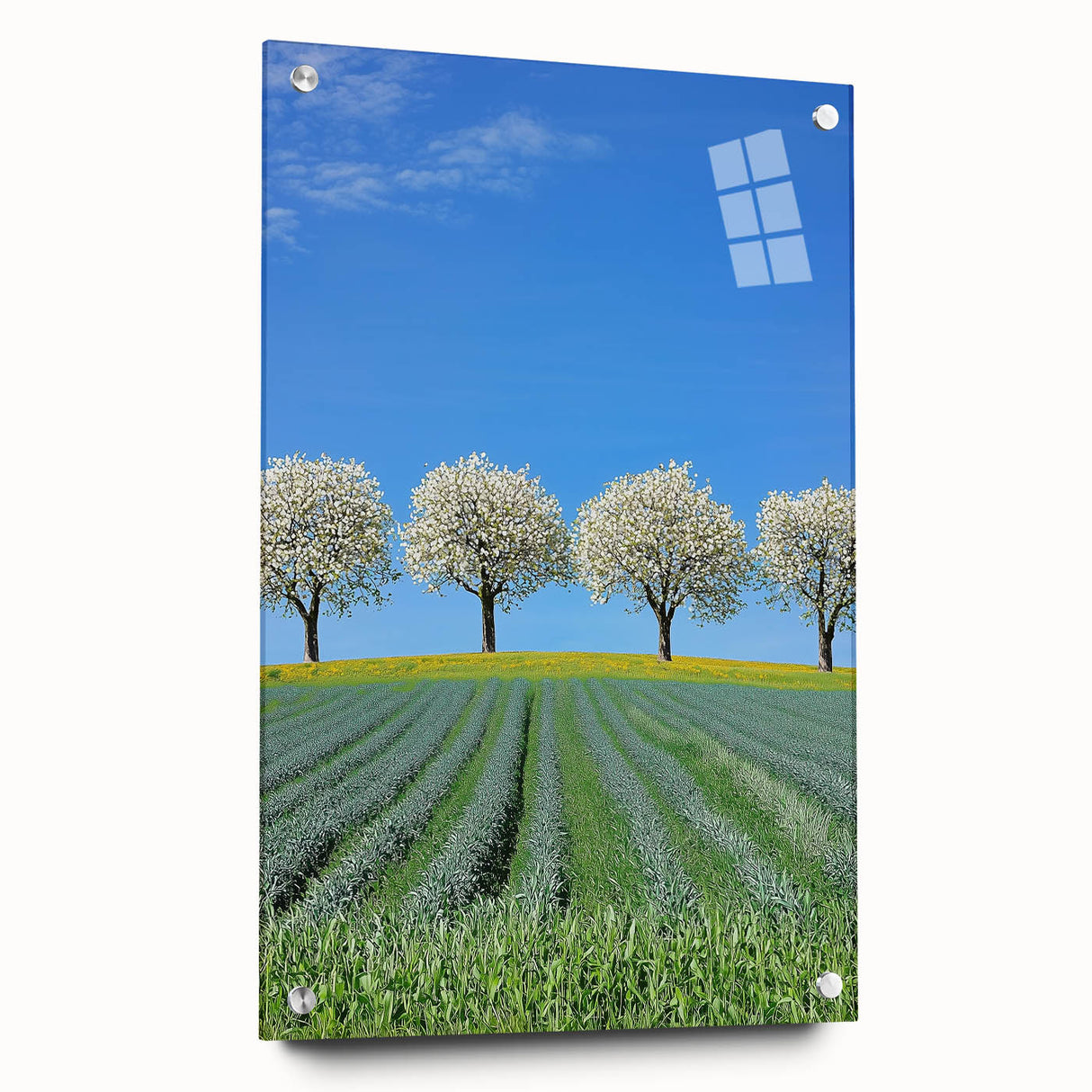 Acrylic glass artwork depicting a vibrant landscape with colorful fields, showcased in a side view and held by decorative pins, perfect for home decor.