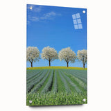 Acrylic glass artwork depicting a vibrant landscape with colorful fields, showcased in a side view and held by decorative pins, perfect for home decor.