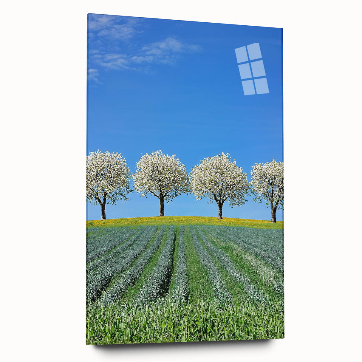 Acrylic wall art showcasing a vibrant landscape of rolling green fields under a bright blue sky, viewed from the side without pins, perfect for modern decor.