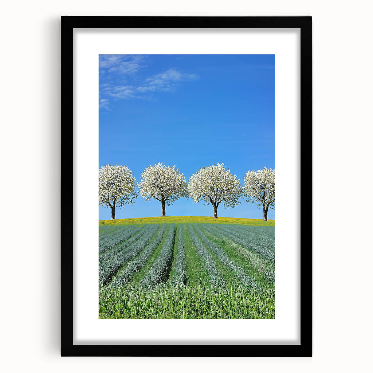 Black-framed landscape artwork featuring vibrant green fields and a serene sky, elegantly matted for a polished display, ideal for home decor enhancement.