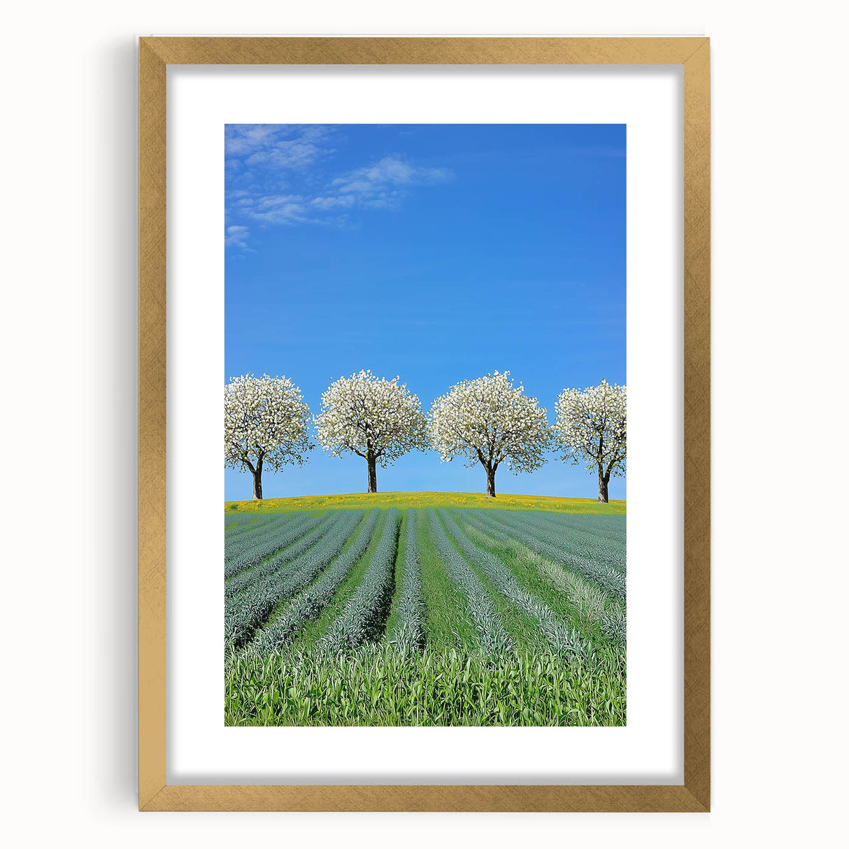 Elegant gold-framed landscape art print featuring vibrant green fields and a serene blue sky, designed to enhance any home decor with its timeless beauty.
