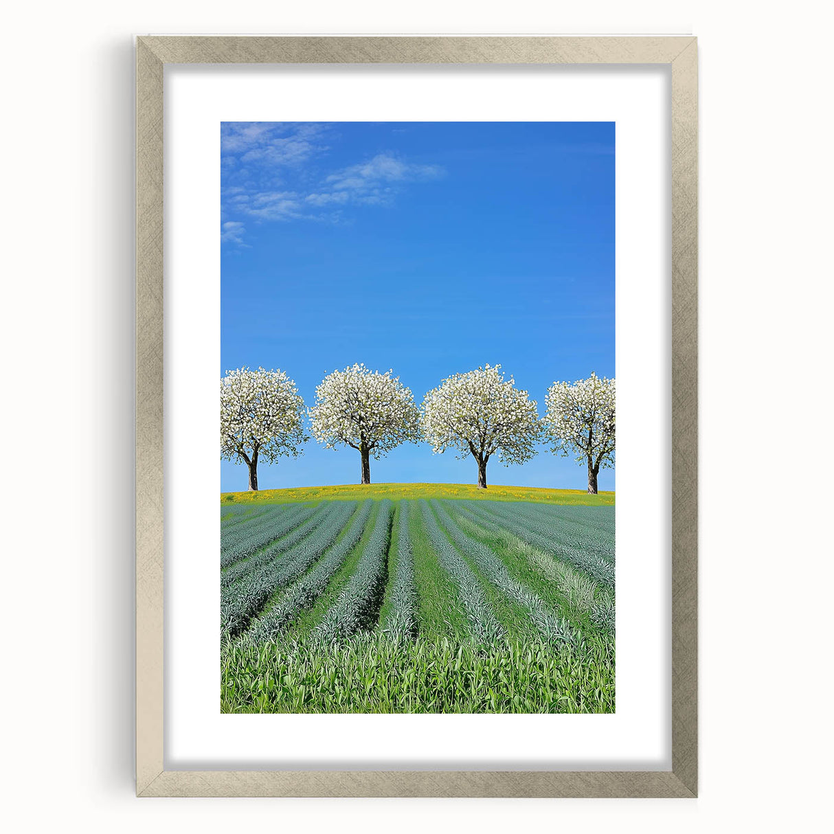 Silver-framed landscape print featuring vibrant green fields and a serene sky, elegantly matted for enhanced display, perfect for home decor or office styling.
