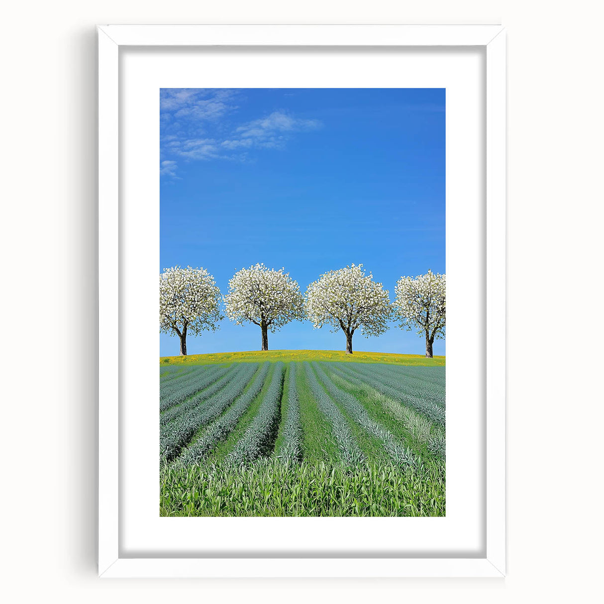 Framed landscape artwork showcasing vibrant green fields and a serene blue sky, presented in a sleek white mat and frame, ideal for home decor enhancement.