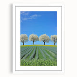 Framed landscape artwork showcasing vibrant green fields and a serene blue sky, presented in a sleek white mat and frame, ideal for home decor enhancement.