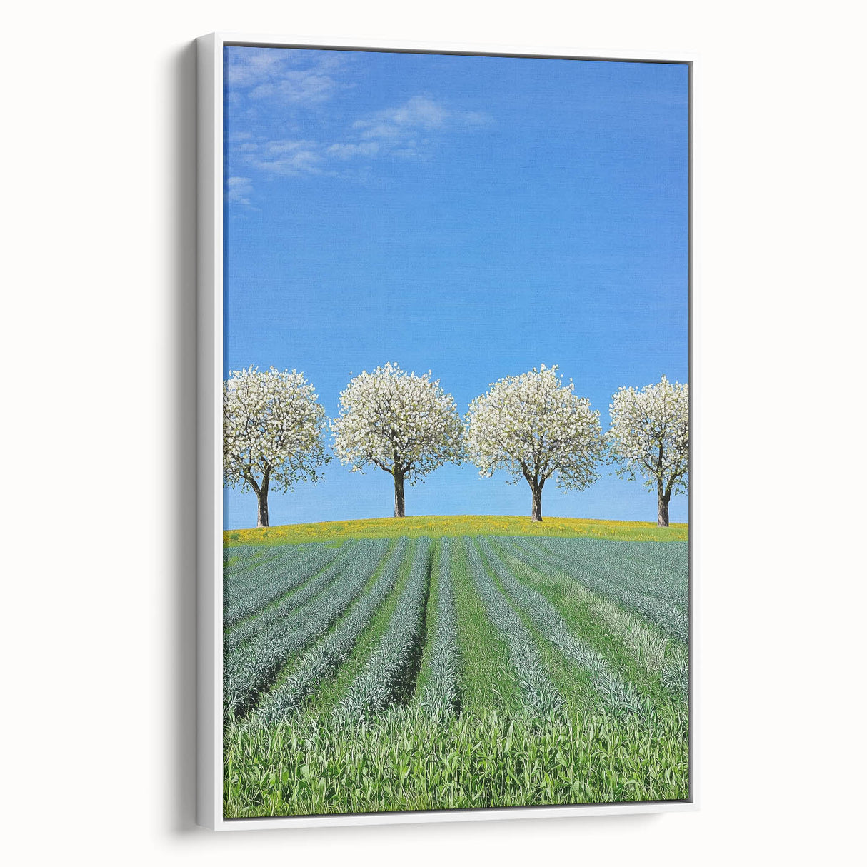 Framed canvas artwork showcasing a vibrant landscape of fields in soft pastel hues, displayed with a white border, perfect for home decor and artistic ambiance.