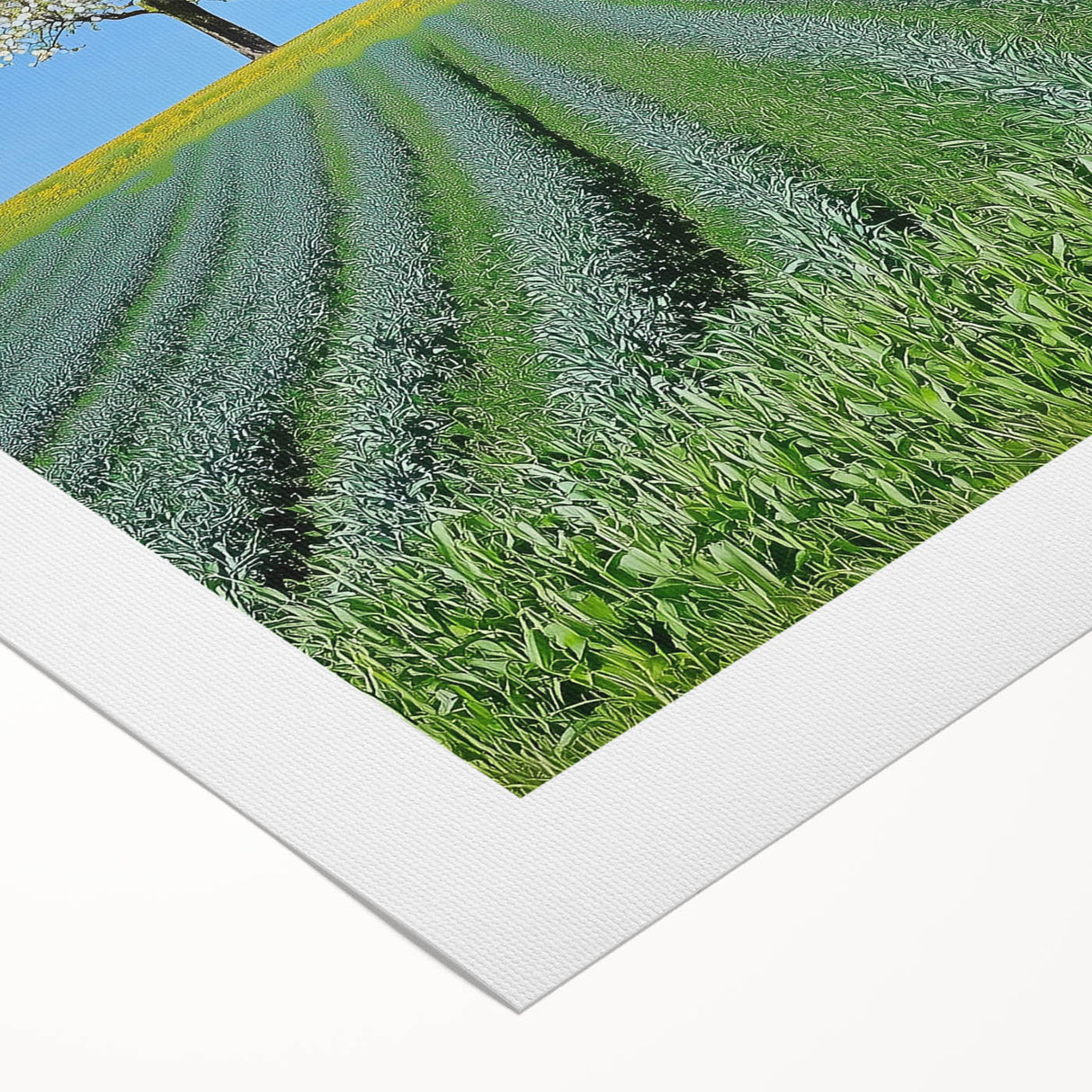 Vibrant rolled canvas showcasing a serene landscape design with lush green fields and soft blue skies, securely packaged in a protective cardboard tube. Perfect for home decor enthusiasts seeking nature-inspired art.