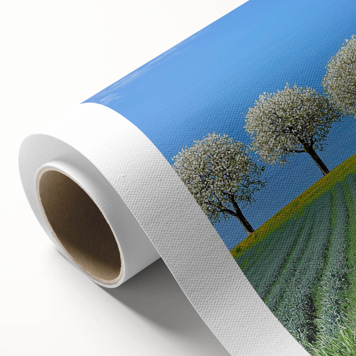 Rolled canvas depicting a serene landscape scene with lush green fields and a vibrant blue sky, elegantly packaged in a protective cardboard tube for shipping.
