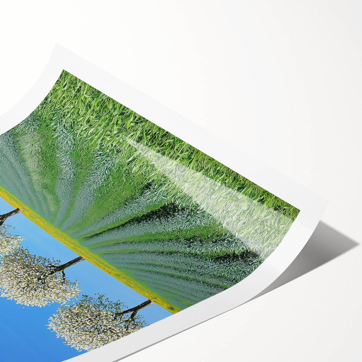 Vibrant rolled landscape print depicting lush green fields under a clear blue sky, showcasing intricate details and rich colors, packaged securely in a protective tube.