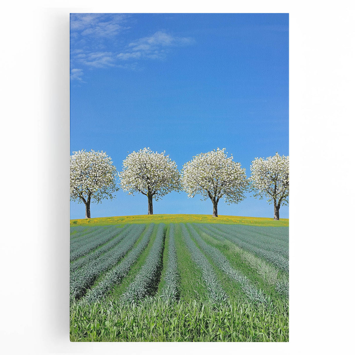 Vibrant stretched canvas artwork depicting a serene landscape of rolling green fields under a bright blue sky, perfect for enhancing home decor.