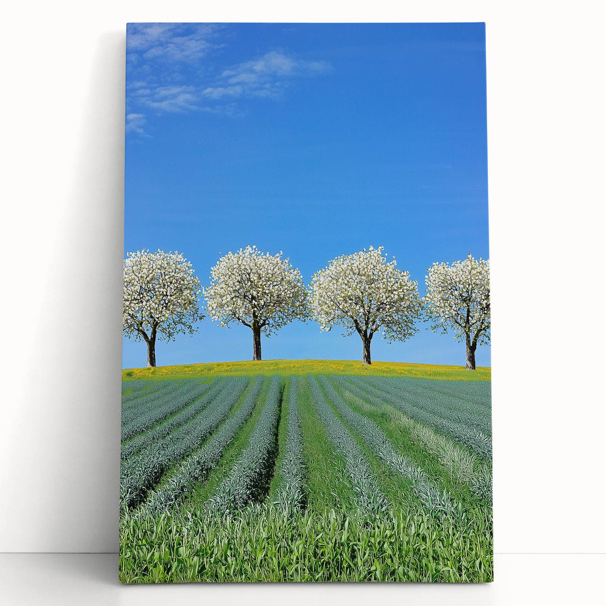 Stretched canvas artwork depicting a serene landscape with vibrant green fields and a clear blue sky, perfectly suited for home decor or office ambiance.
