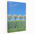 Stretched canvas artwork depicting a vibrant landscape with rolling fields under a bright blue sky, showcasing rich greens and warm earth tones, ideal for home decor.
