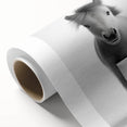 Adorable Pony Bathroom Wall Art - Modern Black and White Decor
