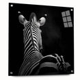 Acrylic glass artwork depicting a side view of various colorful animals, secured with pins, showcasing intricate details and vibrant hues in a modern design.