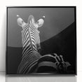 Framed acrylic wall art featuring a vibrant animal design, set against a black background. Perfect for adding a modern touch to home decor or office spaces.