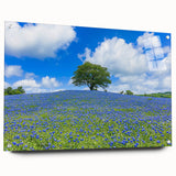 Acrylic glass landscape art piece showcasing vibrant fields with intricate details, displayed in a side view. Features elegant pins for secure mounting, enhancing home decor.