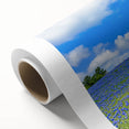Vibrant rolled canvas print showcasing a serene landscape with lush green fields under a clear blue sky, elegantly packaged in a protective cardboard tube for safe transport.