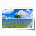 Vibrant landscape print featuring rolling green fields and a serene sky, rolled and securely packaged in a protective tube for easy storage and transport.