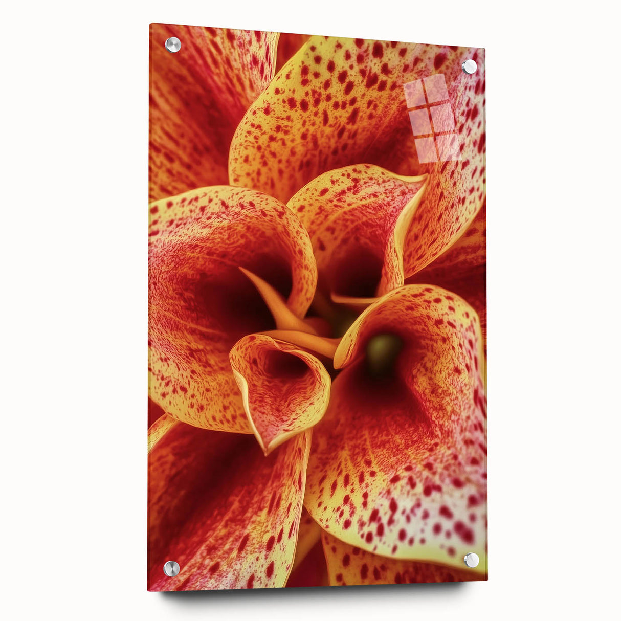 Close-up floral design in vibrant colors on acrylic glass, ideal for dining room or bedroom wall art.