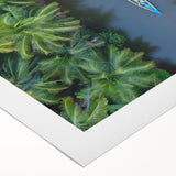 Art deco poster featuring a stylized Indian landscape in warm orange and red tones on rolled canvas.